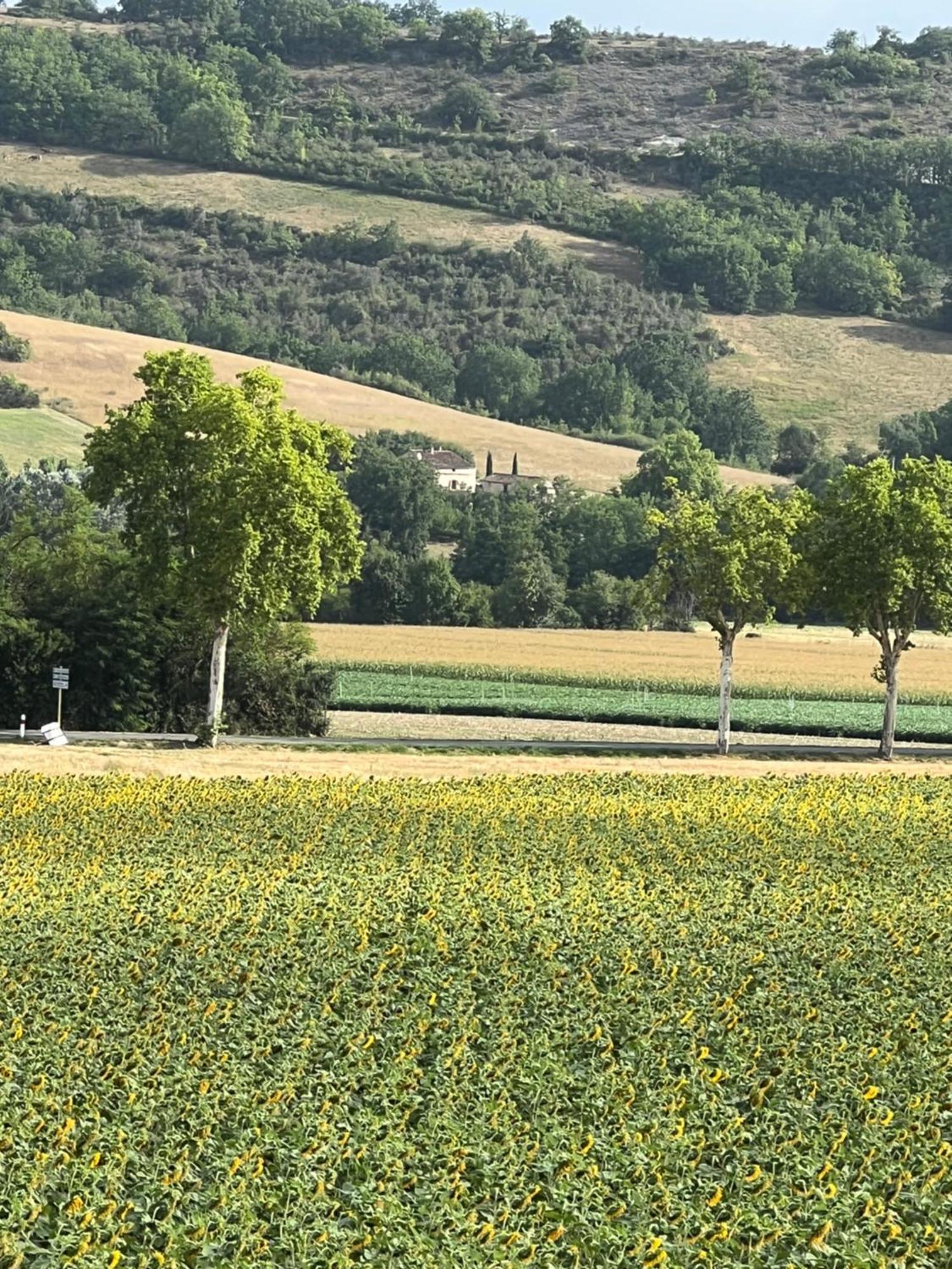 Bed and Breakfast La Bastide De La Bogne Vindrac-Alayrac Zewnętrze zdjęcie
